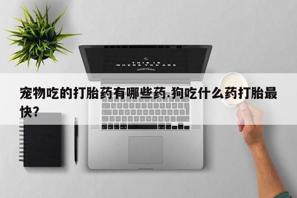 打胎药在线购买全国包邮宠物吃的打胎药有哪些药.狗吃什么药打胎最快？
