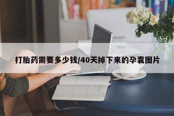 打胎药在线购买全国包邮打胎药需要多少钱/40天掉下来的孕囊图片